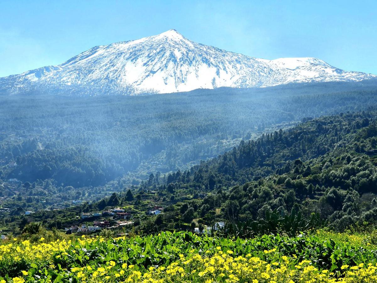 Canarian House Casa Esther In Icod De Los Vinos Zewnętrze zdjęcie